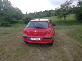 Peugeot 307 - 6