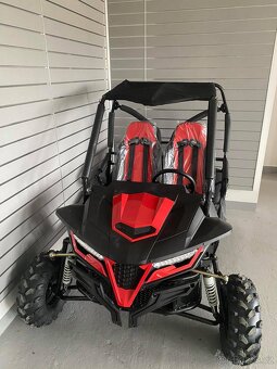 Buggy 208cc - 6