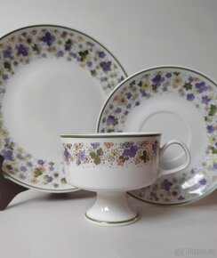 Krásná porcelánová čajová sada/trio Lichte Porzellan - 6