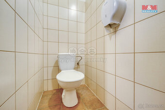 Pronájem obchod a služby, 120 m², Plzeň, ul. Skupova - 6