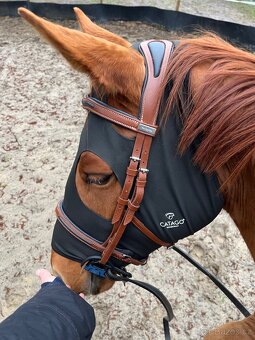 Sedlo Stubben REZERVACE - 6