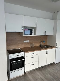 Pronájem bytu 1+KK se zahrádkou a parkováním - 6
