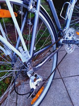 Kolo Author Legend - 6