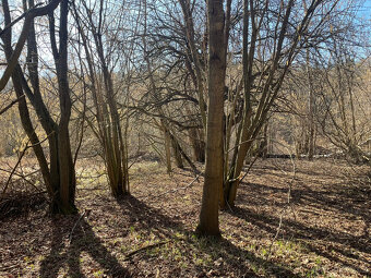 Prodej stavebního pozemku 2276 m², Služátky, Světlá n/S - 6