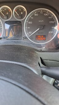 Peugeot 307 - 6