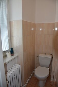 Pronájem bytu 2+1 Bechyně - 6