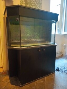 Terarium/akvarium/paludarium - 6
