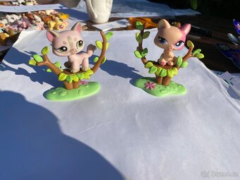 LPS - 6