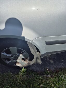 VW Passat B5.5 1.9 TDI PD AVF - 6
