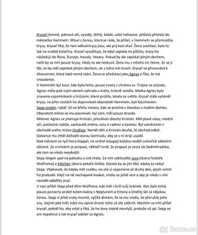 Rozbory maturitní četby - 6