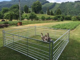 Prodám ohradu pro ovce,kozy,husy,slepice,kachny - 6