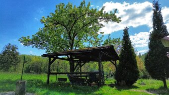 Prodej zahrady s chatkou, 1 078 m² – Třinec, lokalita u lesa - 6