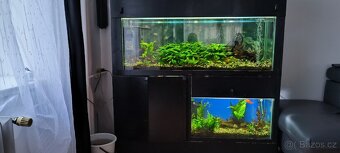 akvarijní set - 6