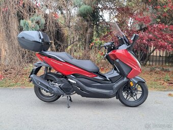 Honda forza 125 rok 2024 - 6