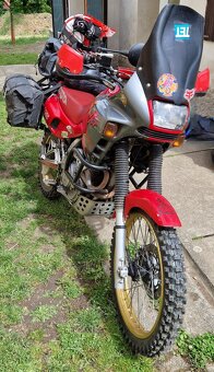 Honda Dominator 650 - 6