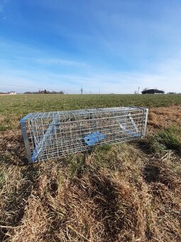 Profesionální bytelné pasti na kuny, mývaly, nutrie, tchoře - 6