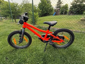 SCOTT ROXTER 16 - 6
