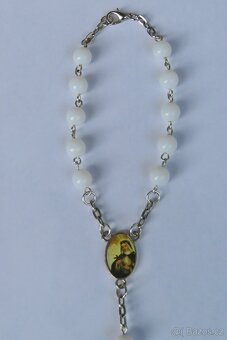 Růžence - různé druhy - 6