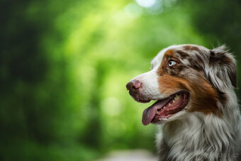 Meopta Meostigmat 95/2 SonyE , EosM, Nik.Z - 6