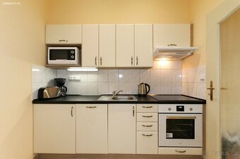 Pronájem bytu 1+1 40 m² Máchova, Praha - Vinohrady - 6