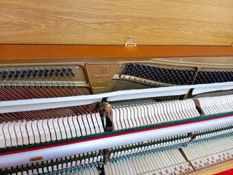 Aspheim -Dovoz zdarma i na Štědrý den 24.12. - 6