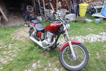 Suzuki Savage - rat - 6