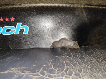 Westernová deka - 6