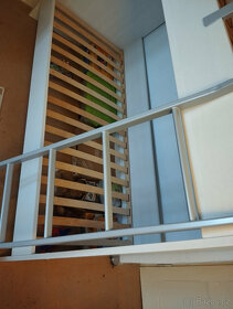 Palanda růžovobílá - 6