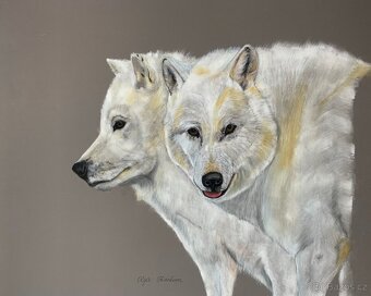 Obraz Strážci Arktiky, pastel - 6