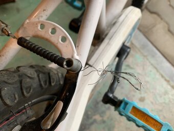 B twin Inuit 100 - 6