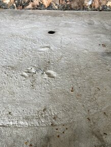 Venkovni chrlic a umyvadlo - 6