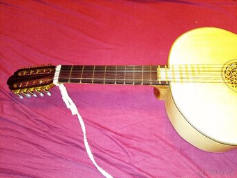 netradiční desetistrunná kytara - 6
