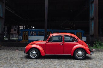 Volkswagen Brouk 1973 - 6