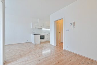 Pronájem bytu 2+kk, Řípská, Brno - Slatina, 42 m2 - 6
