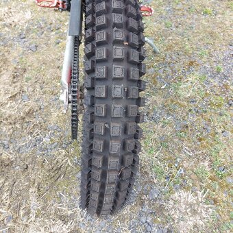 Beta Evo 80 Trial - 6