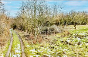 Pronájem Zahrady - 6