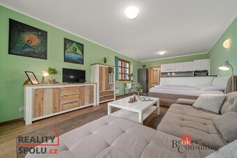 Prodej, byty/1+kk, 46.5 m2, 51761 Říčky v Orlických horách, - 6
