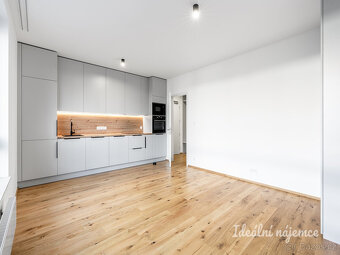 Pronájem bytu 1+kk, Závišova, Nusle, 21900 Kč/měs, 33 m2 - 6