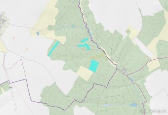 Lesní pozemek 5Kč/m2 k.ú. Velký Ježov 3.724m2 - 6