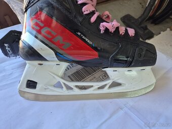 Prodam brusle CCM FT670 Jetspeed vel.4.5 - 6