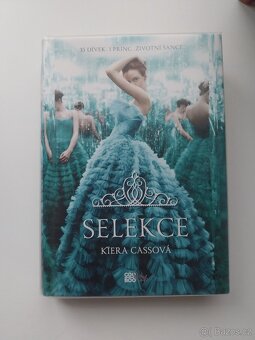 8 knih od Kiera Casová 6 knih kolekce + 2 samostatná - 6