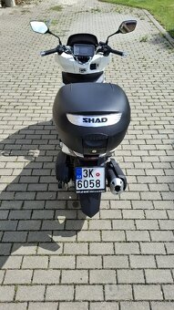 HONDA 125 PCX - 6