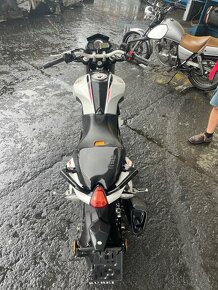 Benelli BN 251 - 6