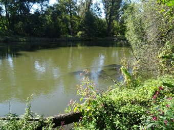 Zahrada - Žatec - 6