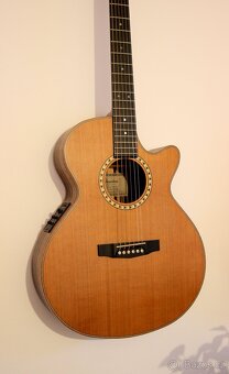 Elektroakusticá kytara Dowina Danubius GACE - 6