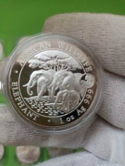 stříbrné mince 19ks - 6