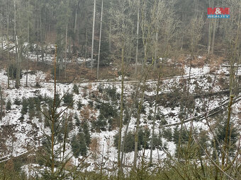 Prodej, les, 12219 m2, Smrčí u Semil, Záhoří - 6