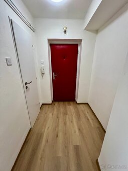 Pronájem moderního bytu 2+1, 50 m² po kompletní rekonstrukci - 6