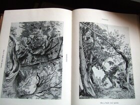 Horák - Vtip a humor, Engelmúller, - 6