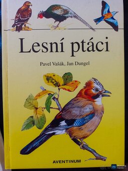 Knihy uvedeny v Kč a v € i na Slovensko - 6